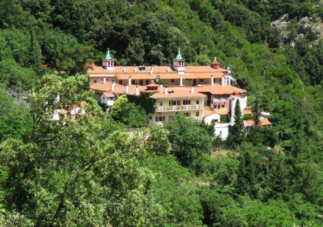 Ilias Appartements Tsaprounis Ellinika (Evia) Exterior foto